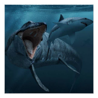 Mosasaurus jagen Haiposter Poster