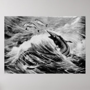 Mosasaurus Prähistorisches Tier Antiquitätendruck Poster