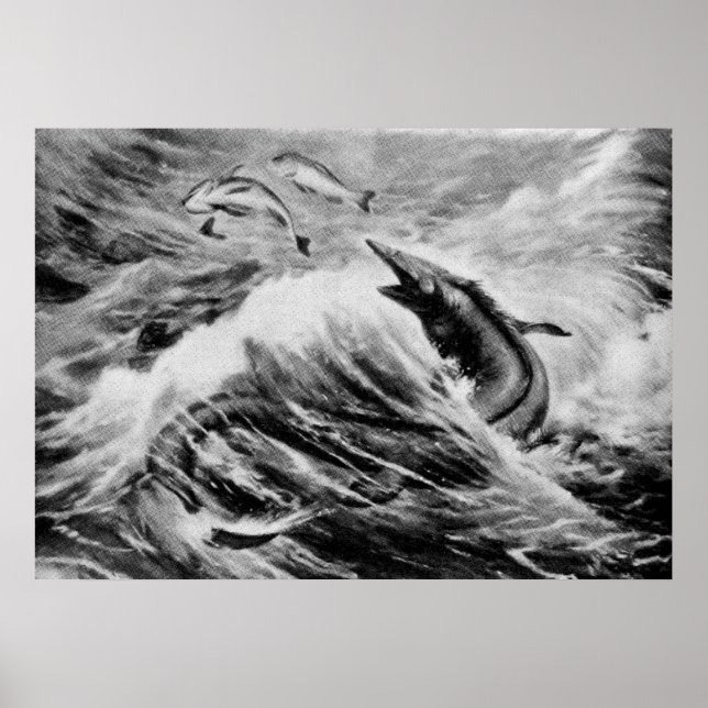 Mosasaurus Prähistorisches Tier Antiquitätendruck Poster (Vorne)