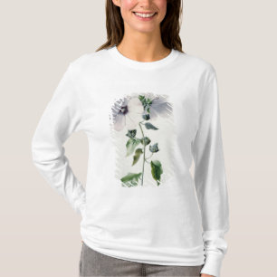 Moschus-Malve, 18. Jahrhundert T-Shirt