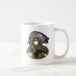 Moschusartige 6 tasse