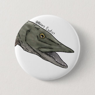 Moschusbarsch-Stecker Button