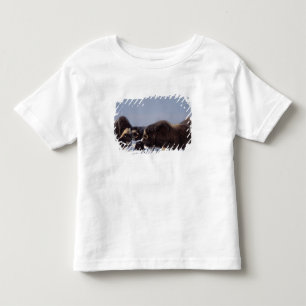 Moschusochse, Ovibos moschatus, Bulle und Kuh Kleinkind T-shirt