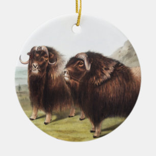 Moschusochse (Ovibos moschatus) Illustration Keramik Ornament