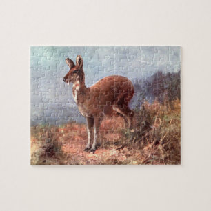 Moschustiere von CE Swan, Vintage Wild Animals Puzzle