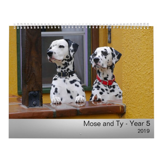 Mose und Ty Kalender 2019 (Titelbild)