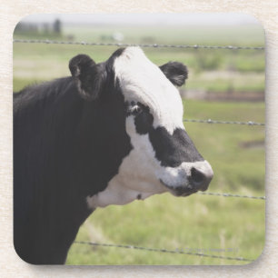 Moseleigh, Alberta, Kanada Untersetzer