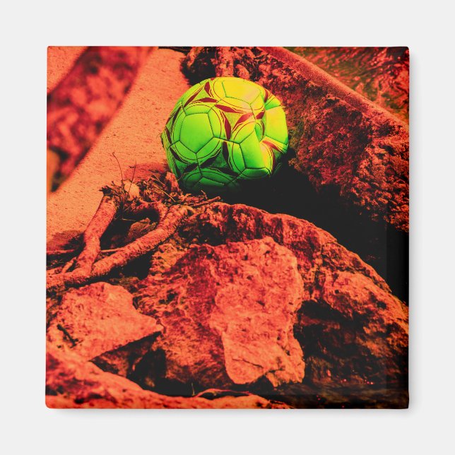 Moskito-Entdecker Magnet (Vorne)