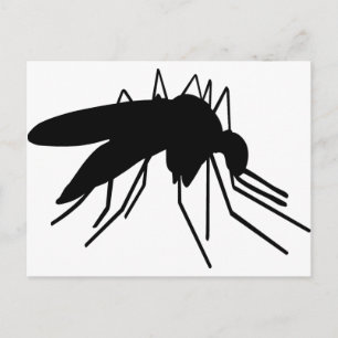 Moskito Postkarte