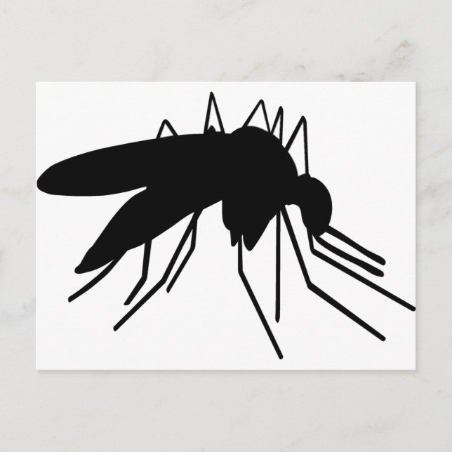 Moskito Postkarte (Vorderseite)