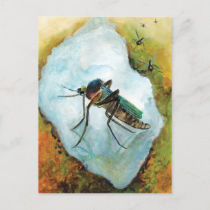 Moskito Sommergenuss Postkarte