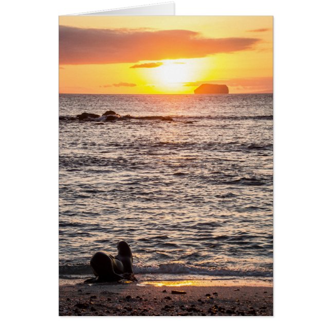 Mosquera Islet Sunset (Vorne)