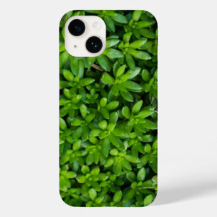 Moss Abstrakt iPhone Case