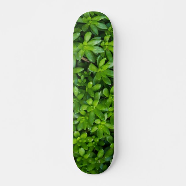 Moss Abstrakt Skateboard (Vorne)