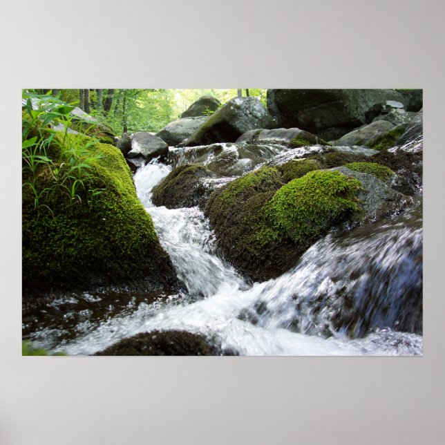 Moss Falls Poster (Vorne)