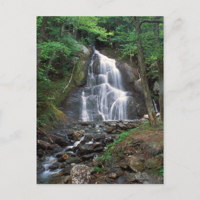Moss Glen Falls Green Mountains Vermont Postkarte (Vorderseite)