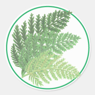 Moss Green Fern Runder Aufkleber