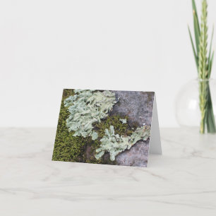 Moss & Lichen Notecard Karte
