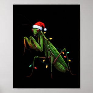 Moss Mantis Christmas Light Weihnachtsmannmütze An Poster
