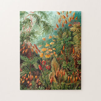 Moss (Muscinae) von Haeckel Puzzle