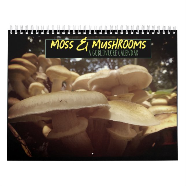 Moss & Mushrooms Goblincore Kalender (Titelbild)