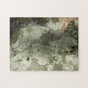 Moss und Lichen auf Rock Puzzle