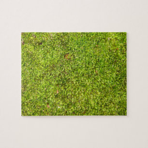 Mossed schwieriges Puzzlespiel! Puzzle