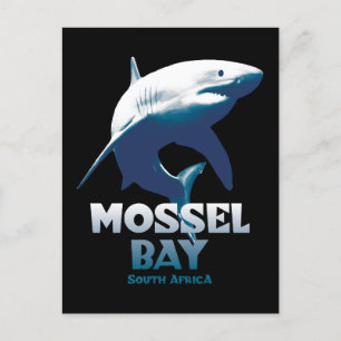 Mossel Bay Great White Shark Scuba Diving Postkarte