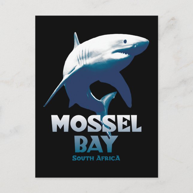 Mossel Bay Great White Shark Scuba Diving Postkarte (Vorderseite)