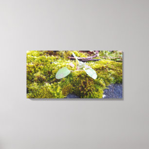Mosses Leinwanddruck
