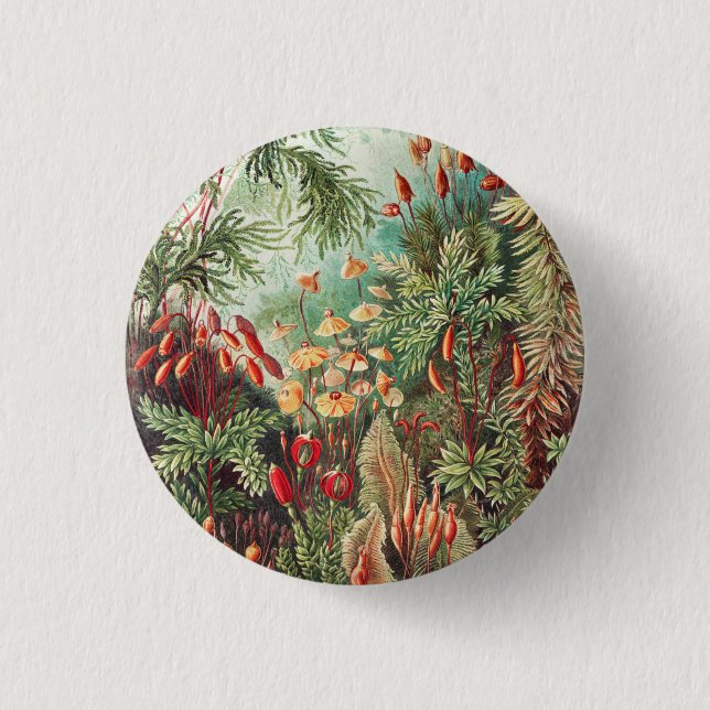Mosses, Muscinae Laubmoose von Ernst Haeckel Button (Vorderseite)