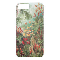 Mosses, Muscinae Laubmoose von Ernst Haeckel
