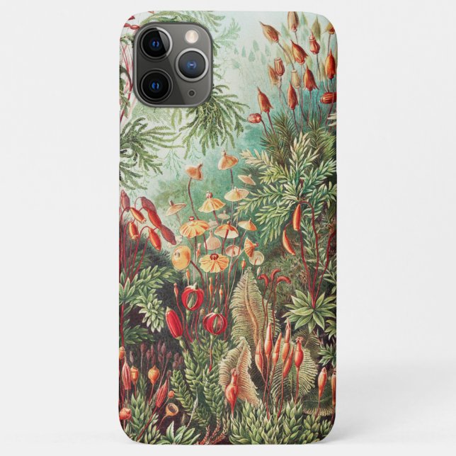 Mosses, Muscinae Laubmoose von Ernst Haeckel Case-Mate iPhone Hülle (Rückseite)
