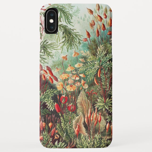 Mosses, Muscinae Laubmoose von Ernst Haeckel Case-Mate iPhone Hülle (Rückseite)