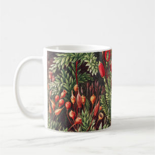 Mosses, Muscinae Laubmoose von Ernst Haeckel Kaffeetasse