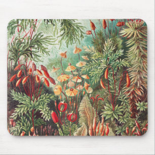 Mosses, Muscinae Laubmoose von Ernst Haeckel Mousepad
