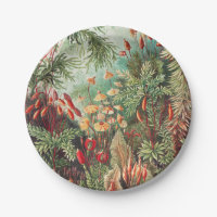 Mosses, Muscinae Laubmoose von Ernst Haeckel