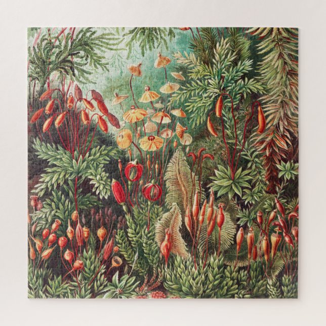 Mosses, Muscinae Laubmoose von Ernst Haeckel Puzzle (Vertikal)