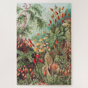Mosses, Muscinae Laubmoose von Ernst Haeckel Puzzle