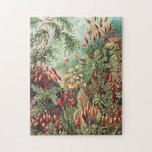 Mosses, Muscinae Laubmoose von Ernst Haeckel Puzzle