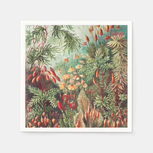 Mosses, Muscinae Laubmoose von Ernst Haeckel Serviette