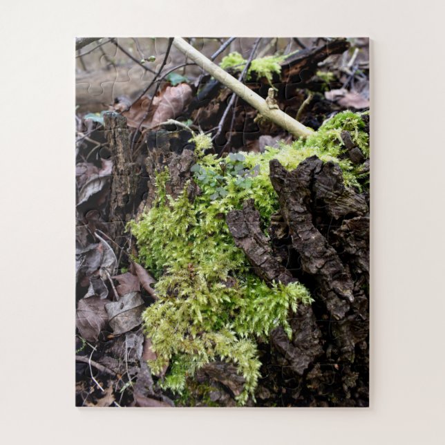 Mosses Puzzle (Vertikal)