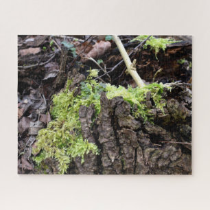 Mosses Puzzle