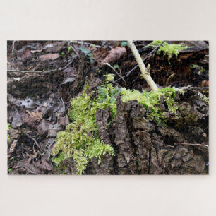 Mosses Puzzle