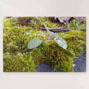 Mosses Puzzle