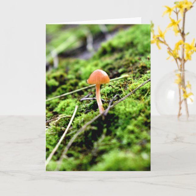Mosses und Lichens mit winzigen Mushroom Karte (Gelbe Blume)