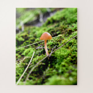Mosses und Lichens mit winzigen Mushroom Puzzle