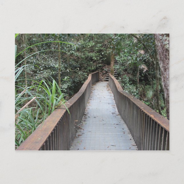 Mossman Gorge - Queensland Australien Postkarte (Vorderseite)