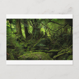 Mosswald Postkarte