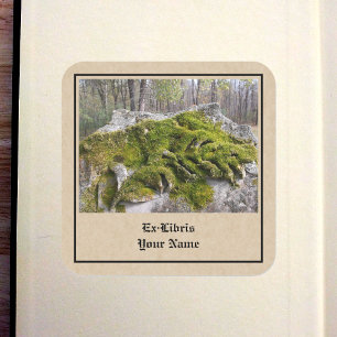 Mossy Broken Headstone Buchzeichen Quadratischer Aufkleber